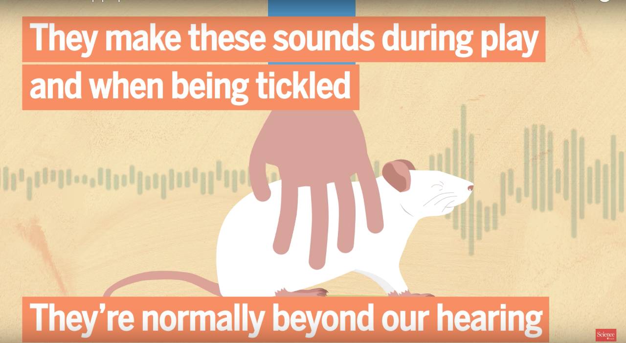 全球首个基因抗癌新药,肺癌基因编辑技术