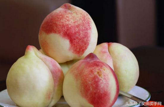 中国地理标志大会视频,国家地理标志产品官方采访