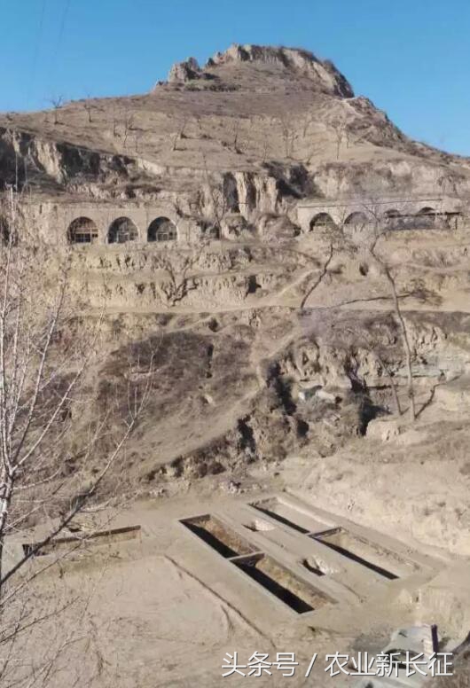 寰█澶т箟鍏ㄦ枃,寰█澶т箟瀹屾暣瑙嗛