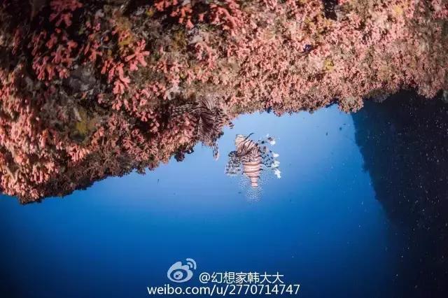 帕劳群岛旅游攻略大全,超强整理去帕劳不得不看的攻略