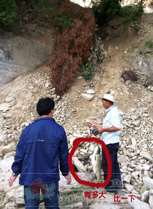 鍗囬挓婀栭挀楸煎ぇ鐧芥潯,鍗囬挓婀栭挀鐧芥潯