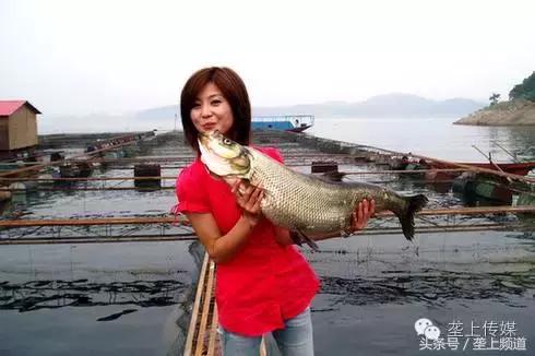 湖北省哪个地方的鱼最好吃,湖北最好吃的淡水鱼在哪里