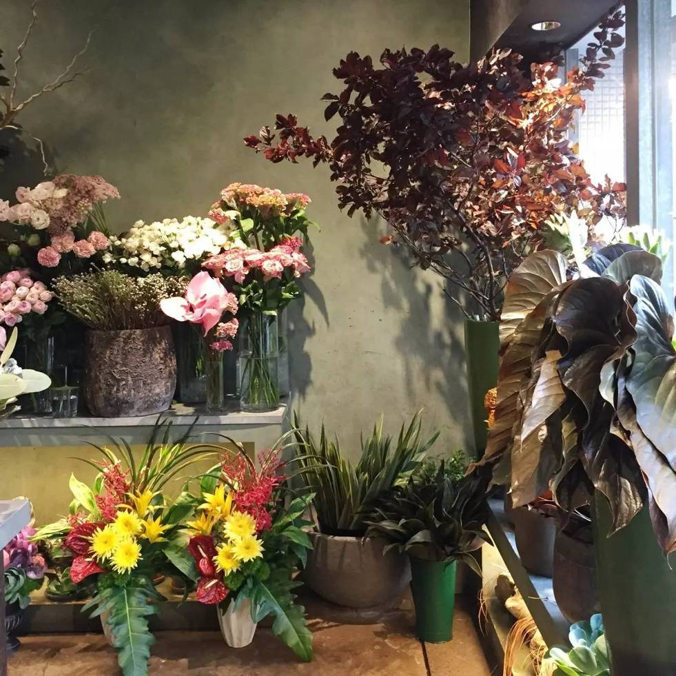 东京花店,东京南青山花店