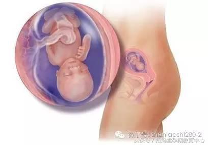 孕期怎么分辨假性宫缩,孕期胎动怎样辨别好坏