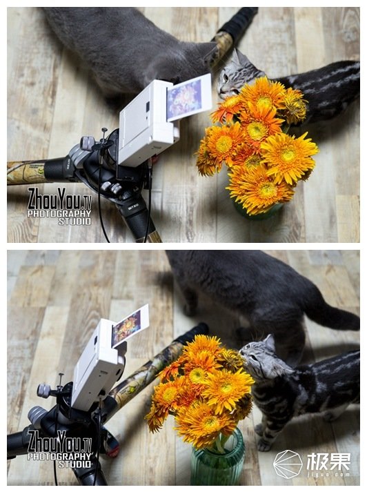 创意拍立得高级滤镜玩法,一键剪同款拍立得创意无极限