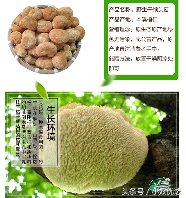 猴头菇推荐店铺,猴头菇的选购