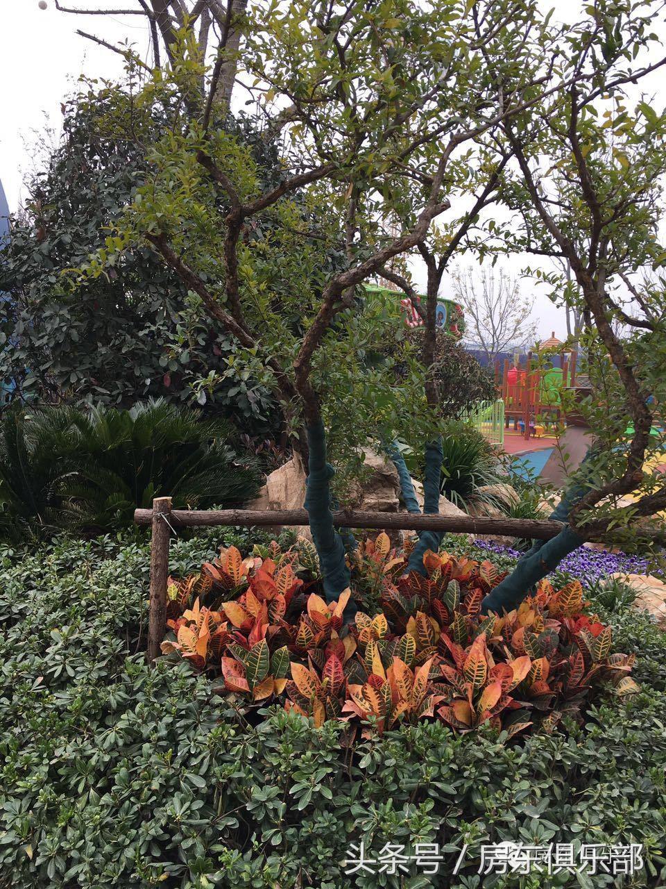 恒大悦龙台的房子值得购买吗,恒大悦龙台是毛坯还是精装