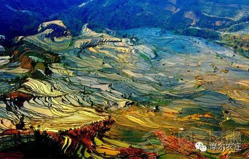 衡水你好，我叫云南，这是我的简历