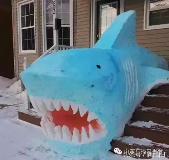 濮阳第一场雪是几号,濮阳哪一年5月份下的雪