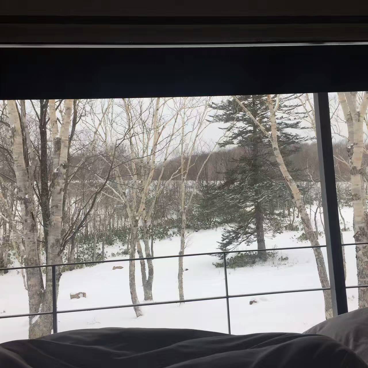 林更新和王思聪互动,林更新跟王思聪最新互动