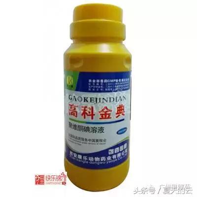 养鱼的专业助手,那些你不知道的有趣软件