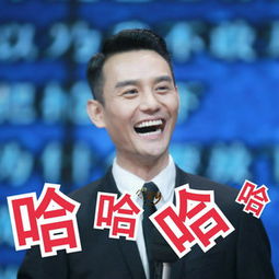 王凯靖王帅气,王凯王鸥表情包