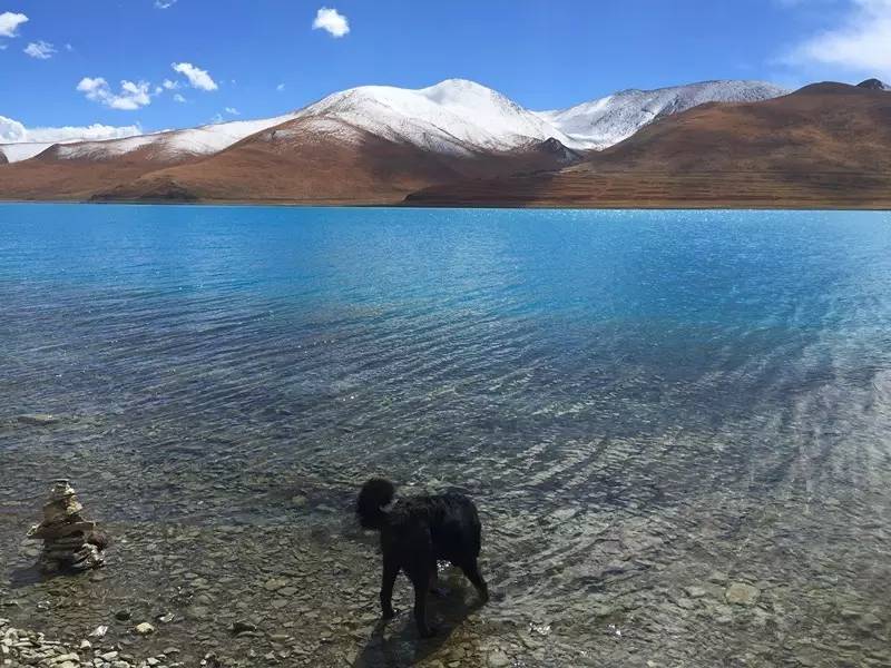 穷游小伙穷游西藏身体终于累垮,10年前穷游西藏