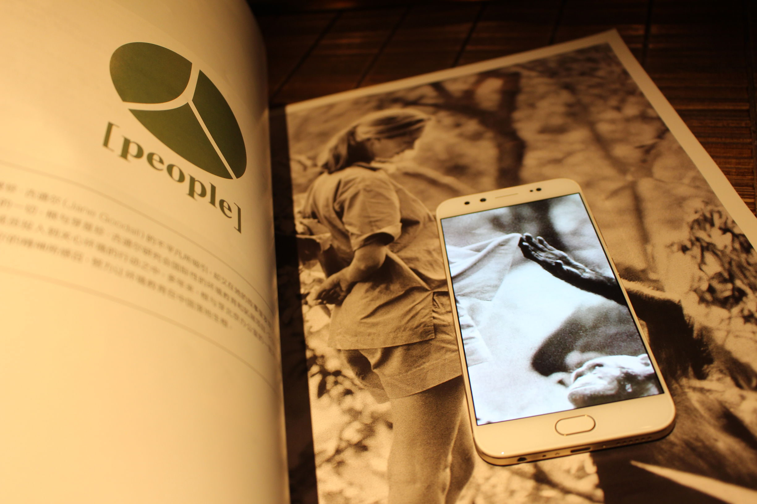 vivox9s柔光双摄怎么样,vivox9拍照效果怎样