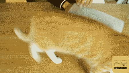 净鞋宝哪个牌子好,净鞋宝真的有效吗