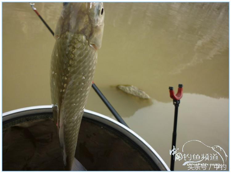 虎岭钓鱼路亚,虎岭钓鱼场