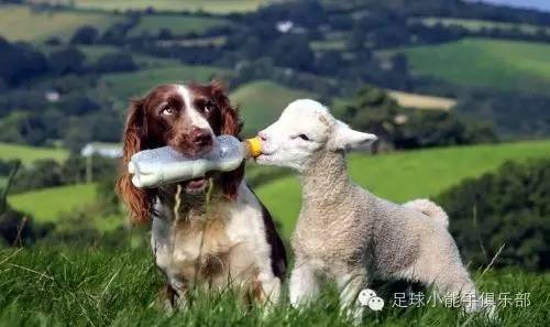 穆里尼奥欧冠国米战术,穆里尼奥国米马特拉齐