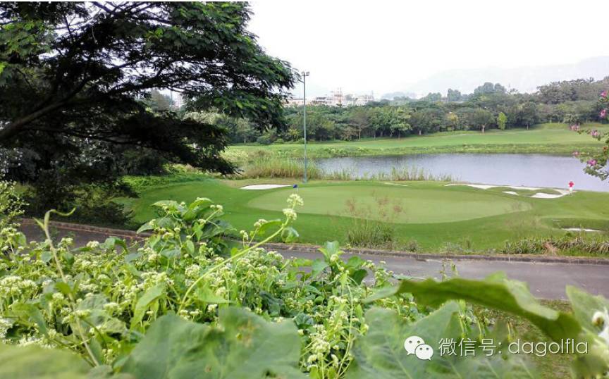 高尔夫优惠团购99元直播,国际高尔夫订场