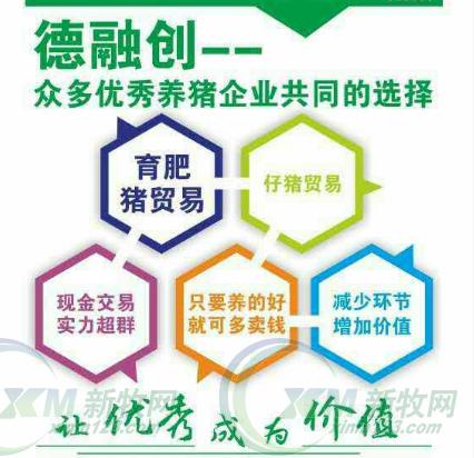 猪贩子是怎么操作赚钱,猪贩子是怎么在屠宰场赚到钱的