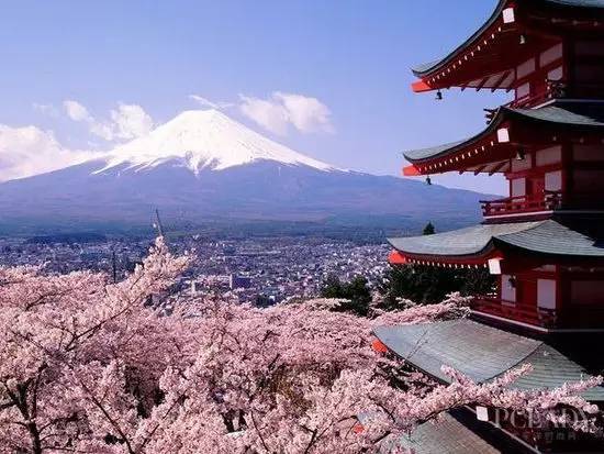 双十一抢进口好货在哪里,双十一购物各种商品都降价吗