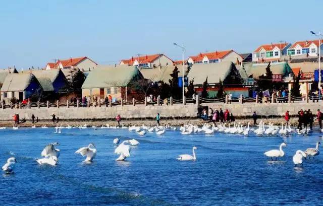 青荣城铁今天全线开通!这些地方你不可错过!