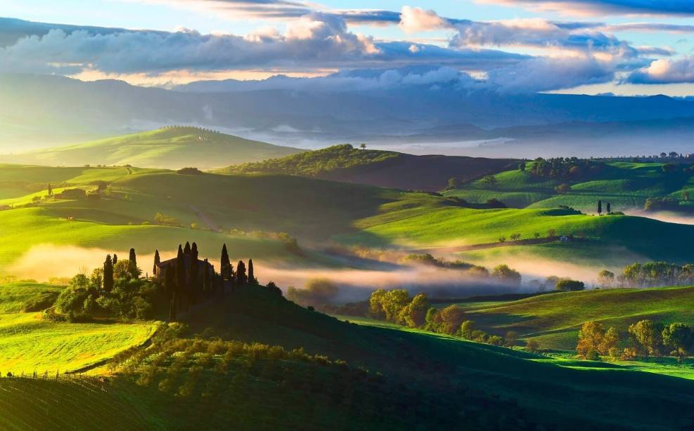 松露新口味,顶级松露的秘密