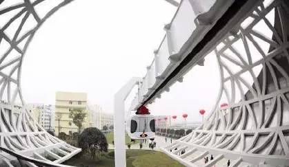 四川大熊猫栖息地在哪个位置,3分钟了解四川大熊猫栖息地