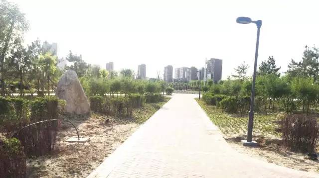 包头市新建体育公园,包头体育公园开始建了吗