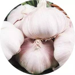 冬天爱上火的体质吃什么能改善,冬天体内湿气太重容易上火怎么办