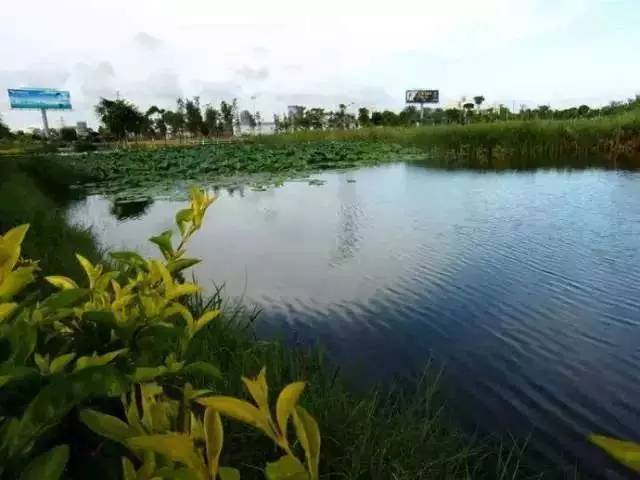 汕头这几年发展变化,未来的汕头是什么样的