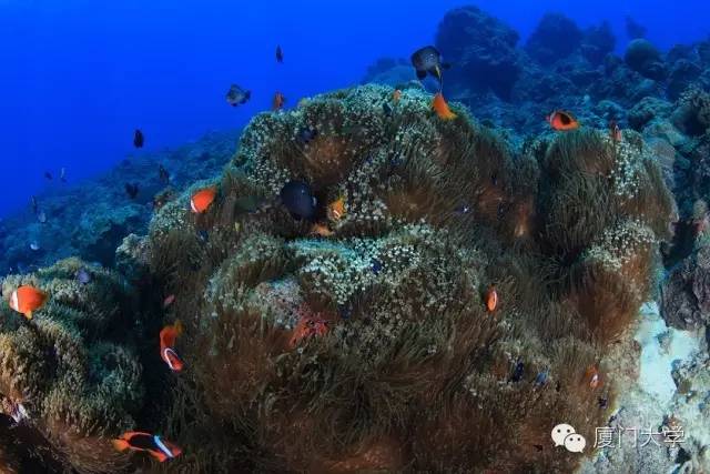 休闲体育潜水课,体育课创新课堂