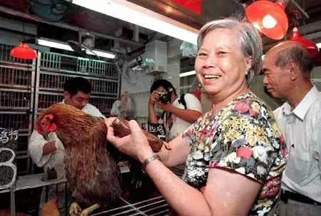 2018年毛鸡市场走势图,今日红鸡价格最新报价