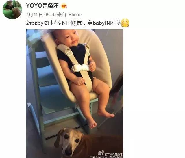 大咖记｜高情商梓琳怎么处理家庭“内斗”：YoYo和胖妹开始争宠啦