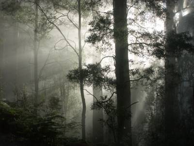 「花园集分享」野风系澳大利亚园林景观设计简析