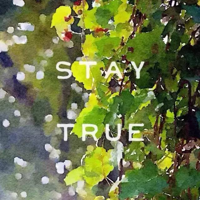 最好的照片处理app,十大照片软件