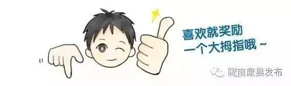 陇南康县杨湾村：团结桥上话幸福