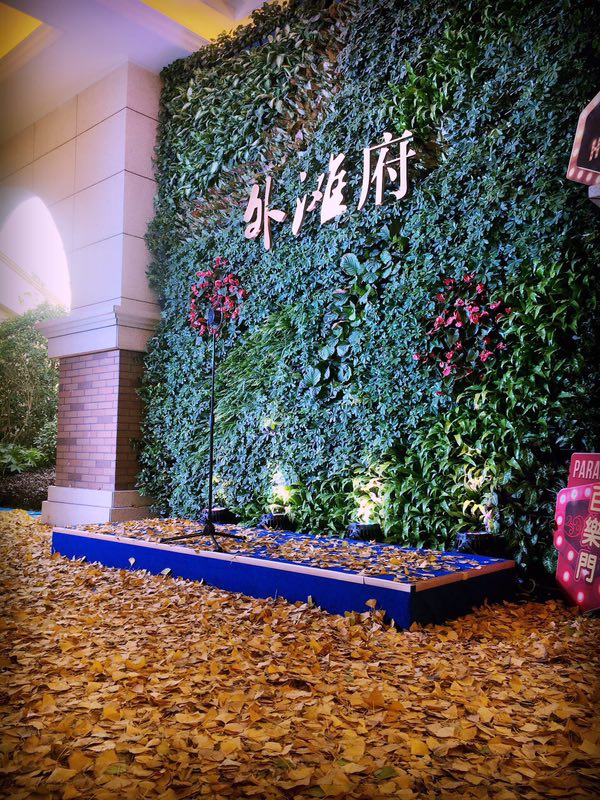 传承城市辉煌，续写荣耀篇章--信达外滩府营销中心华美绽放