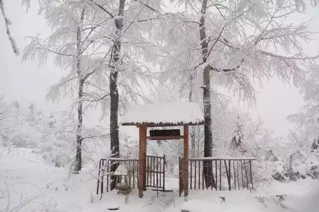 隐居终南山最后的结局,终南山上万隐居修行者背后的故事