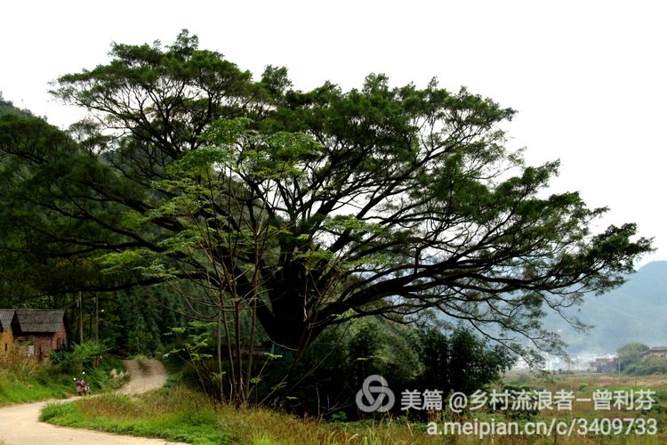 记住乡愁河源热水镇,发现河源