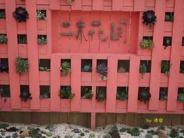 威海荣成海上时光,威海悠闲旅游