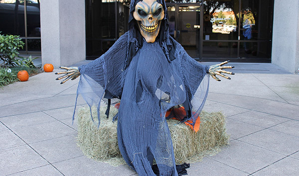 广州长隆海洋王国和珠海长隆,长隆欢乐世界到珠海长隆海洋王国