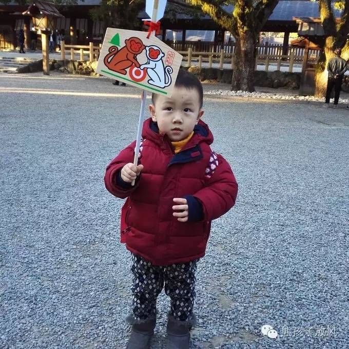 这个冬天我们一起去日本看雪,去日本看雪景哪个地方好