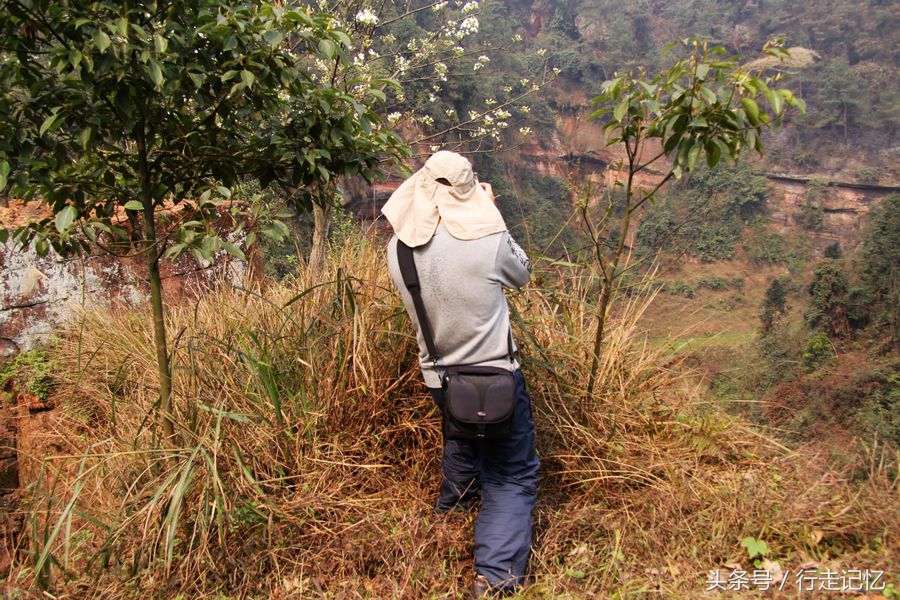 宜宾隐藏打卡地,乐山隐秘秘境