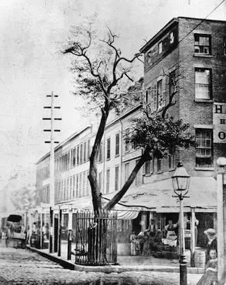 kiehls保湿水推荐,kiehls爽肤水哪个好用