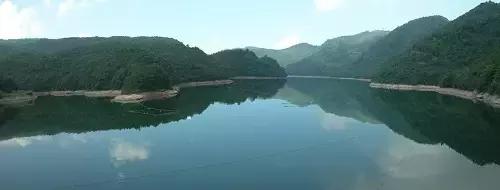 宁波大自然美轮美奂的风景,宁波最美森林