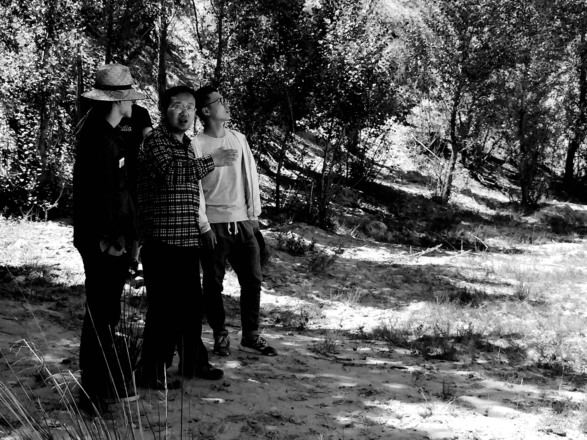 历史丨匈奴最后的遗址：废都统万城