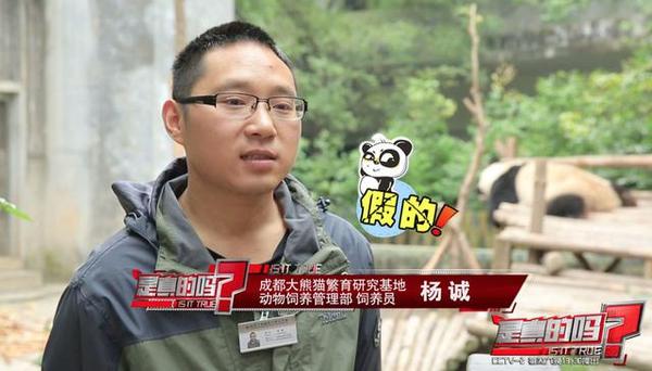 大熊猫第六个手指,大熊猫前手有几个手指