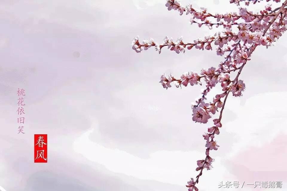 愿你出走半生归来仍是少年短文,愿你出走半生归来仍是少年背景图