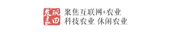 良田风采：联姻！中粮我买网看中良食网啥？