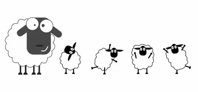 威能博世菲斯曼地暖,地暖为什么不用不锈钢管